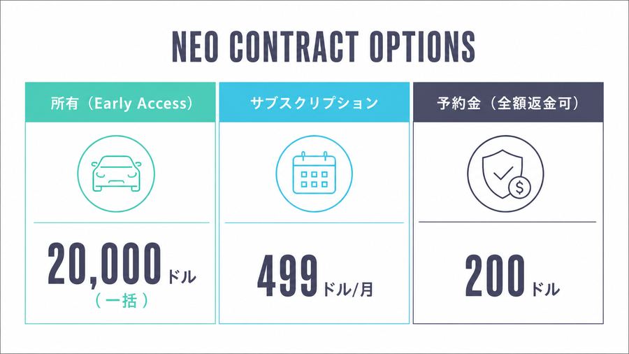 NEO Contract Options