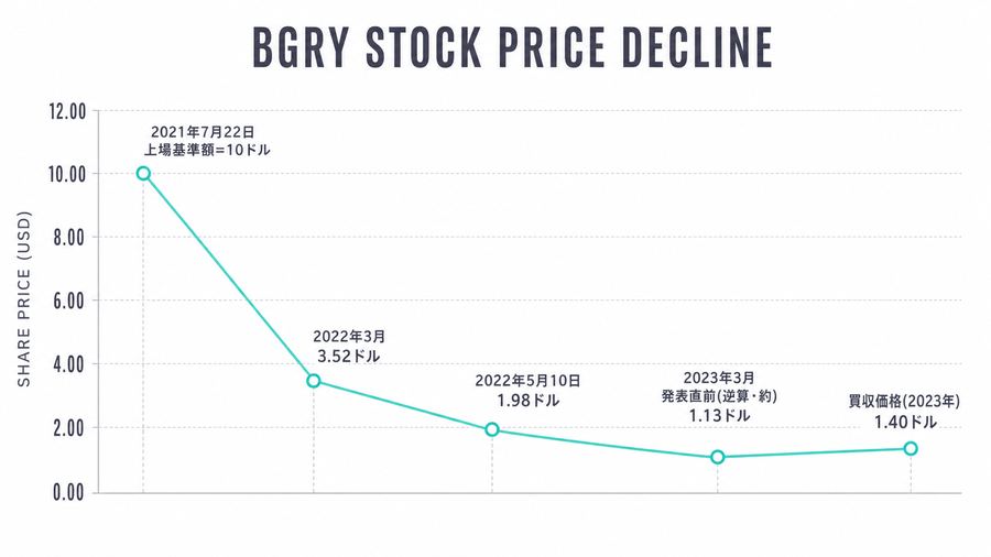 BGRY Stock Price Decline